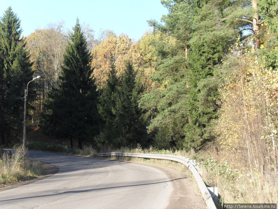 Шуваловский парк осенью Санкт-Петербург, Россия