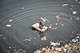 Жители трущоб собирают мусор из реки Джамна в поисках чего нибудь ценного для себя.