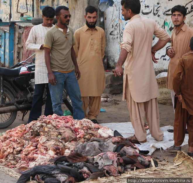 Продажа говяжьих потрохов Карачи, Пакистан