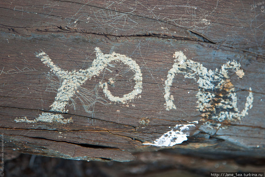 Многие петроглифы на холмах покрывают лишайники и по их скорости годового прироста ученые смогли определить, что возраст некоторых из них 2700 лет. Кош-Агач, Россия