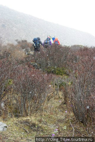 Непал. Восхождение на Island Peak (6 189m) Непал