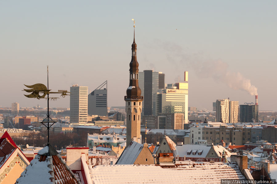 Солнечный февраль в Таллине Таллин, Эстония