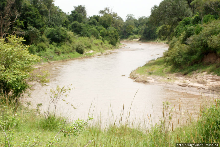 Река Мара Масаи-Мара Национальный Парк, Кения