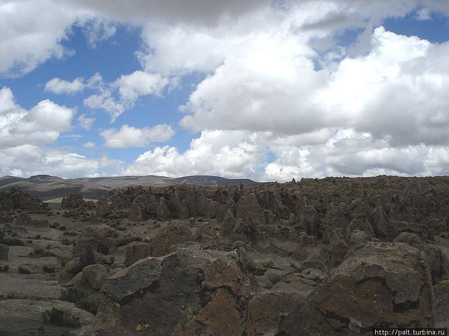 Застывшая лава — Каменный лес Регион Пуно, Перу