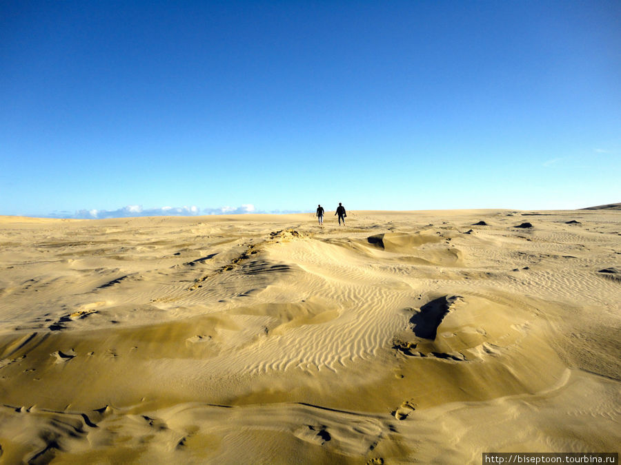 Сами дюны непонятно откуда там взялись — похоже, что просто большой самосвал вывалил кучу песка Район Нортленд, Новая Зеландия