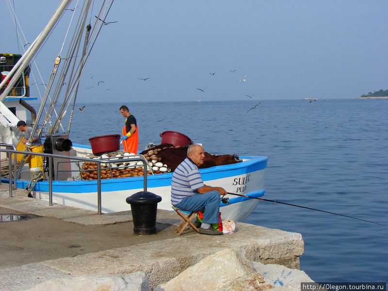 Ровиньский рыбак с утра на море Ровинь, Хорватия