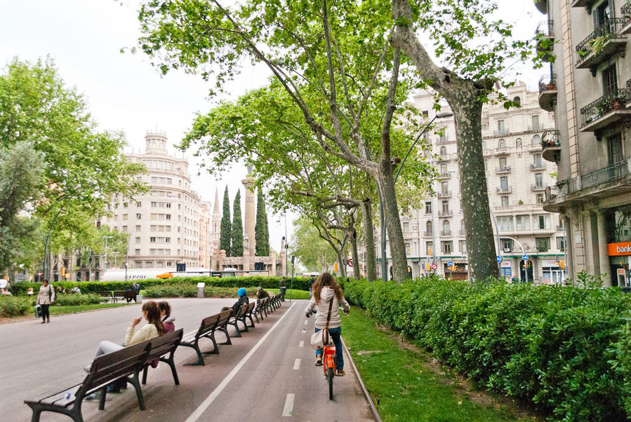 Не считая исторического центра, приблизительно так выглядят множество улиц Барселоны. За счет зелени, которая огораживает людей от автомобильной дороги, тут всегда происходит какая-то жизнь. Барселона, Испания
