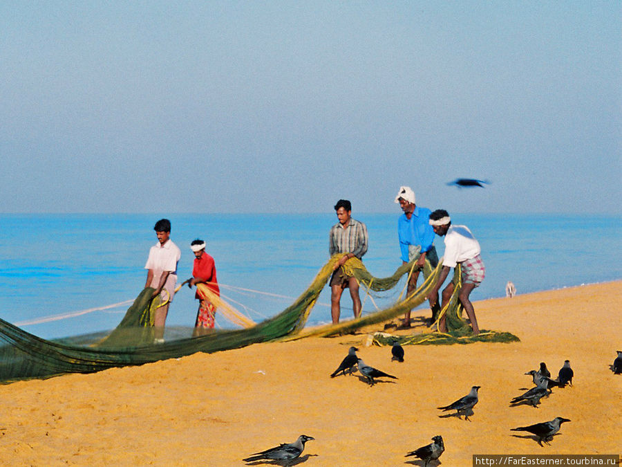 Новый год на пляже Тируванантапурам, Индия