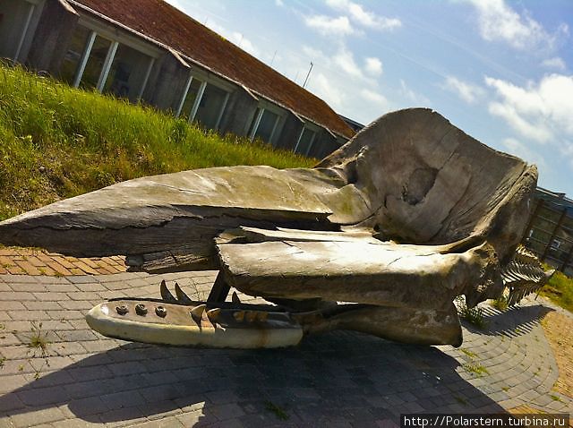 Скелет кита перед входом в музей Остров Тексел, Нидерланды