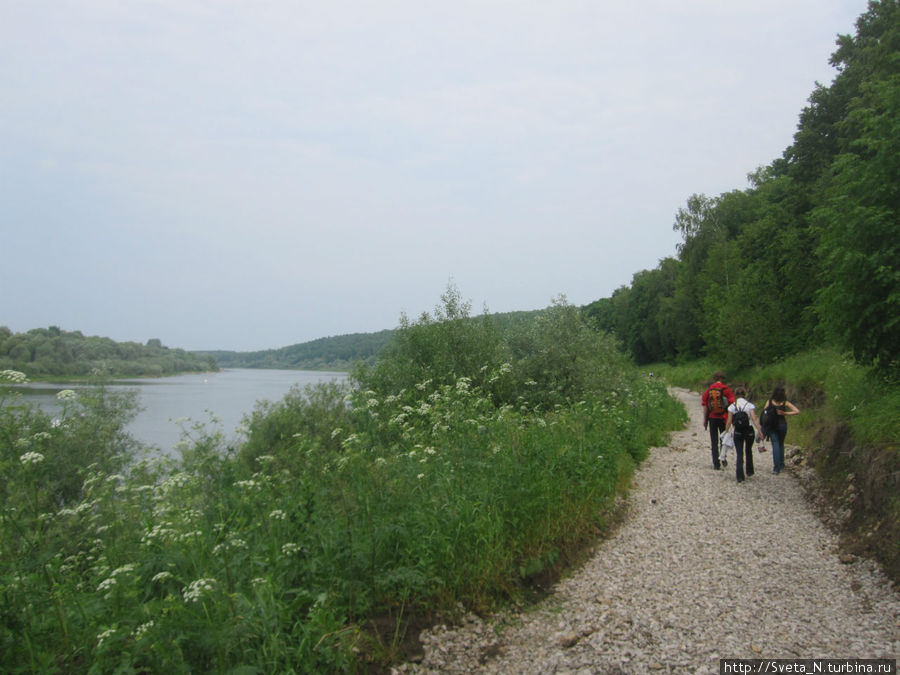 Дорога к Бехово Поленово (Бехово), Россия