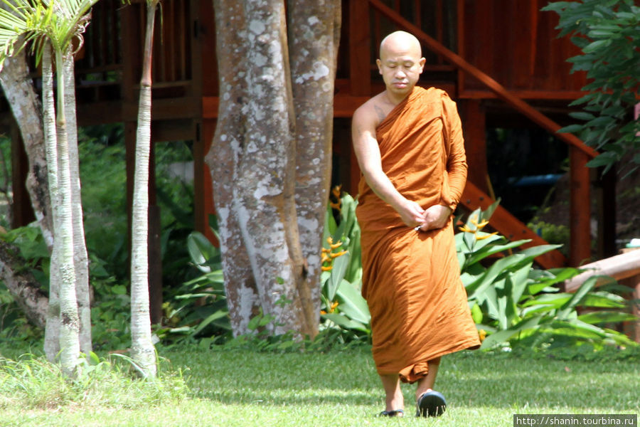 Монах идет на обед Мае-Хонг-Сон, Таиланд