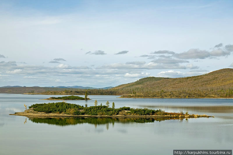 Два острова у восточного берега озера. Саха (Якутия), Россия