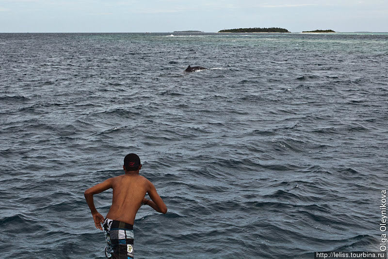 Обрывки путевых заметок про крайнее путешествие на Мальдивы Мальдивские острова
