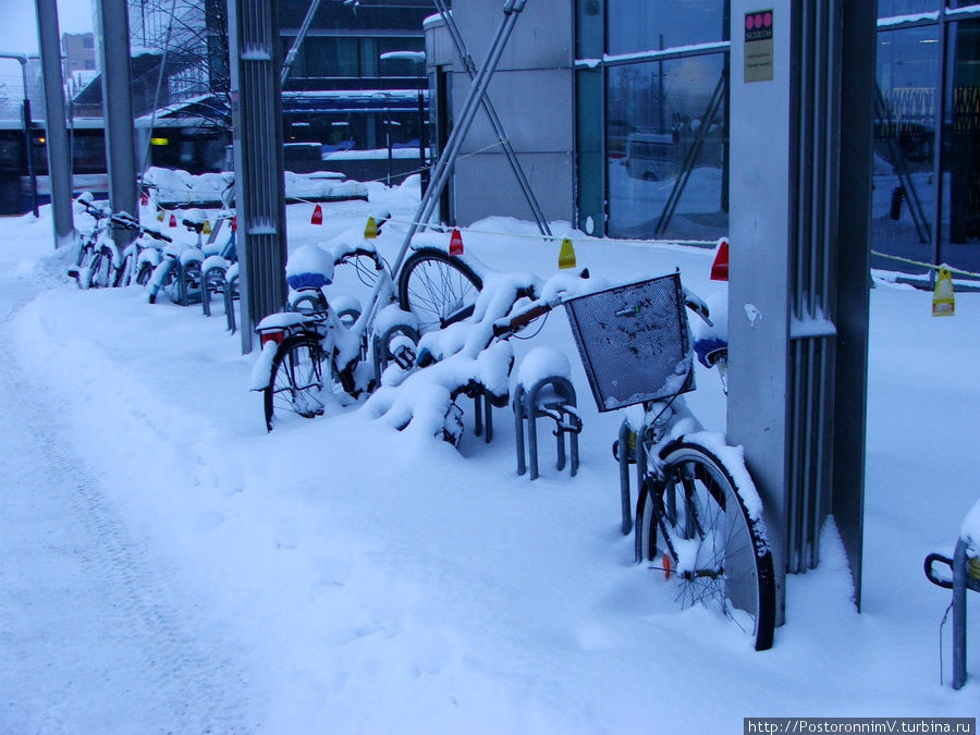 Были замечены финны верхом на велосипедах. Хельсинки, Финляндия