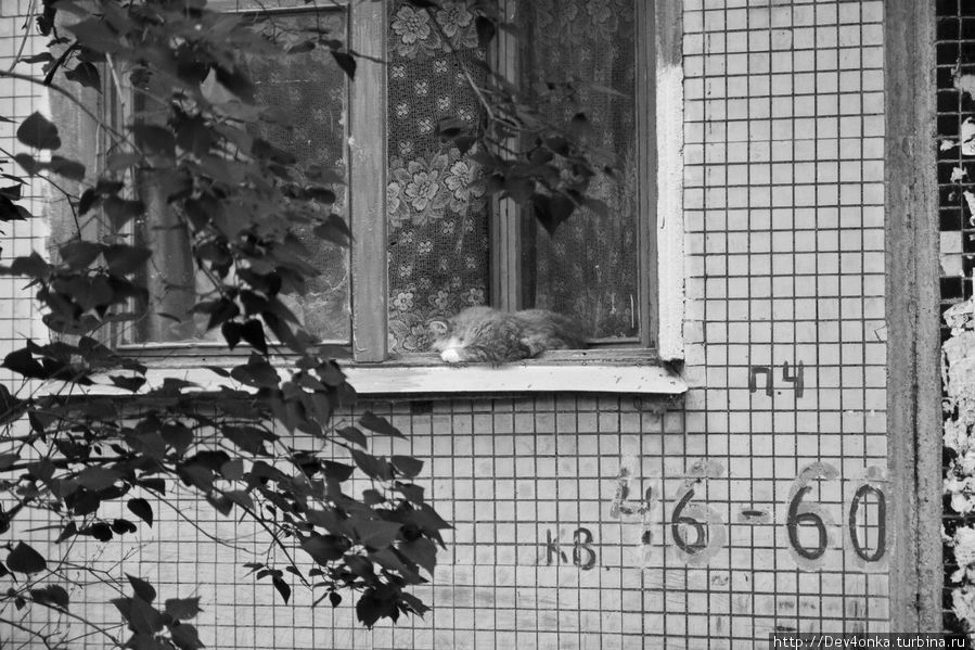 Окна без решёток Великий Новгород, Россия