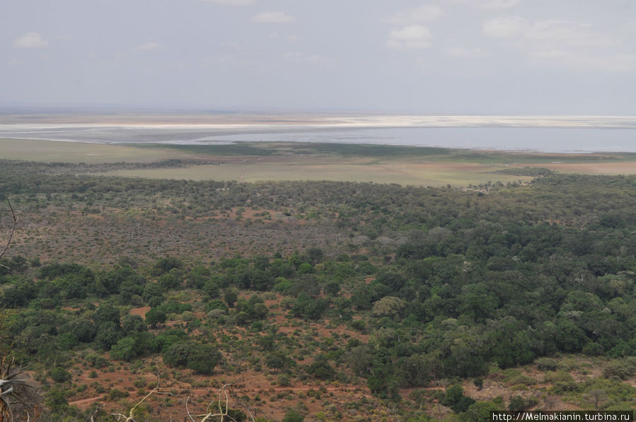 Лейк Маньяра Сопа лодж Национальный парк Озеро Маньяра, Танзания
