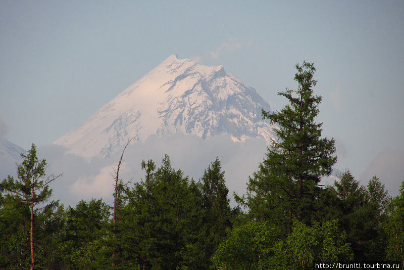 Это сладкое слово — Камчатка Камчатский край, Россия