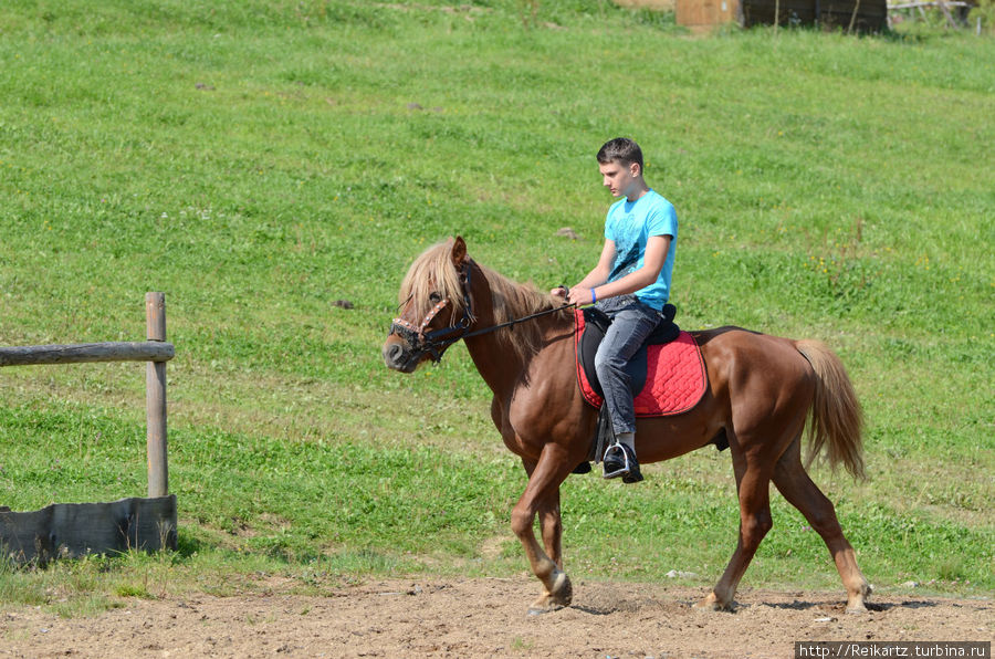 Верховая езда в Вита Парк Изки Закарпатская область, Украина