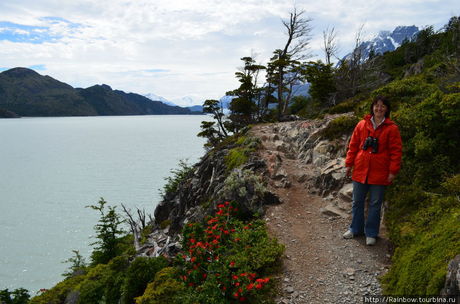 Небольшая прогулка  вокруг озера Национальный парк Торрес-дель-Пайне, Чили