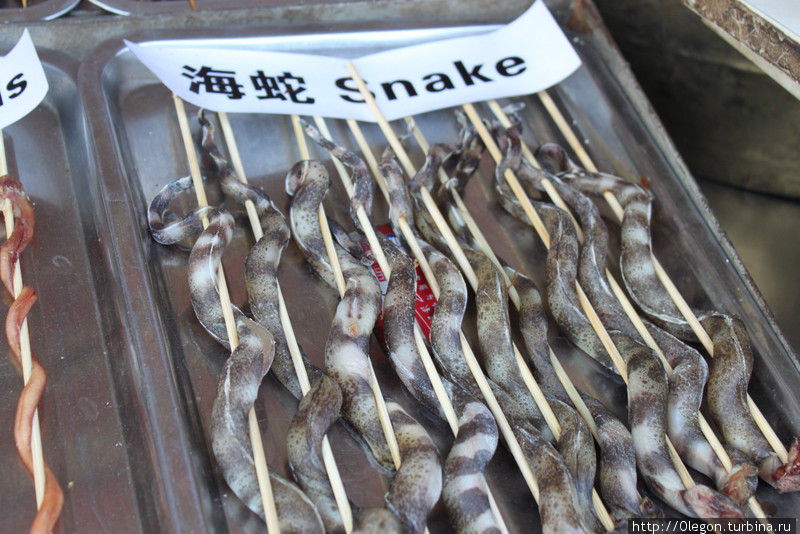 Змейки Пекин, Китай