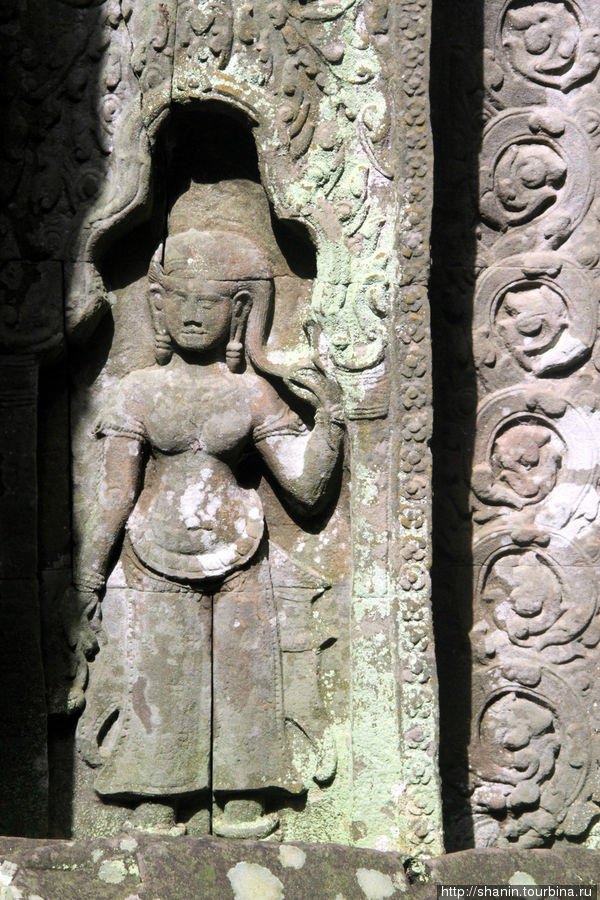 Барельефы на древних стенах Ангкор (столица государства кхмеров), Камбоджа