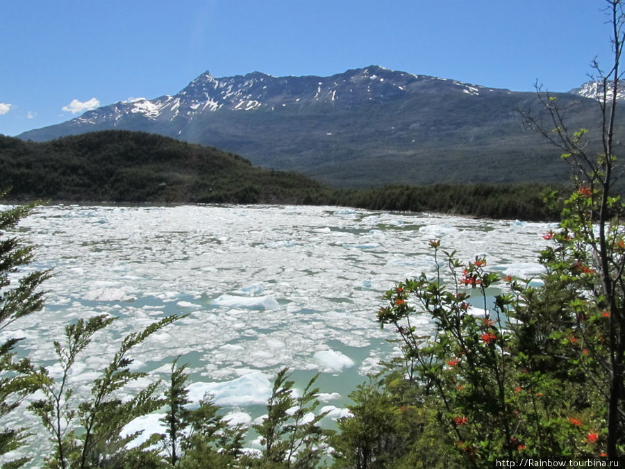 Вид достойный кисти импрессиониста Национальный парк Бернардо О'Хиггинс, Чили