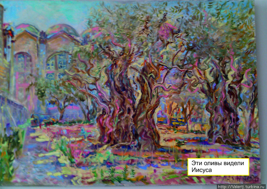 Оливы в Гефсиманском саду. Автор назвал картину Божий сад Харьков, Украина
