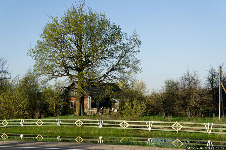 Деревня, забор, характерный для большинства белорусских деревень на этой трассе и жилой дом. Беларусь