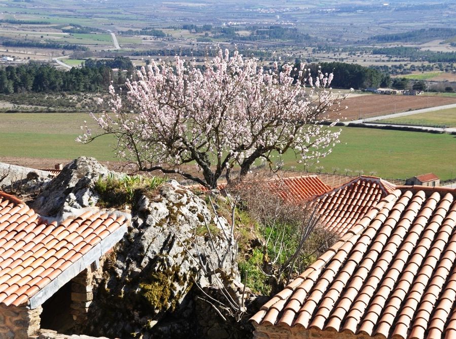 Туда, где цветет миндаль Интернасиональ-Дору Природный Парк, Португалия