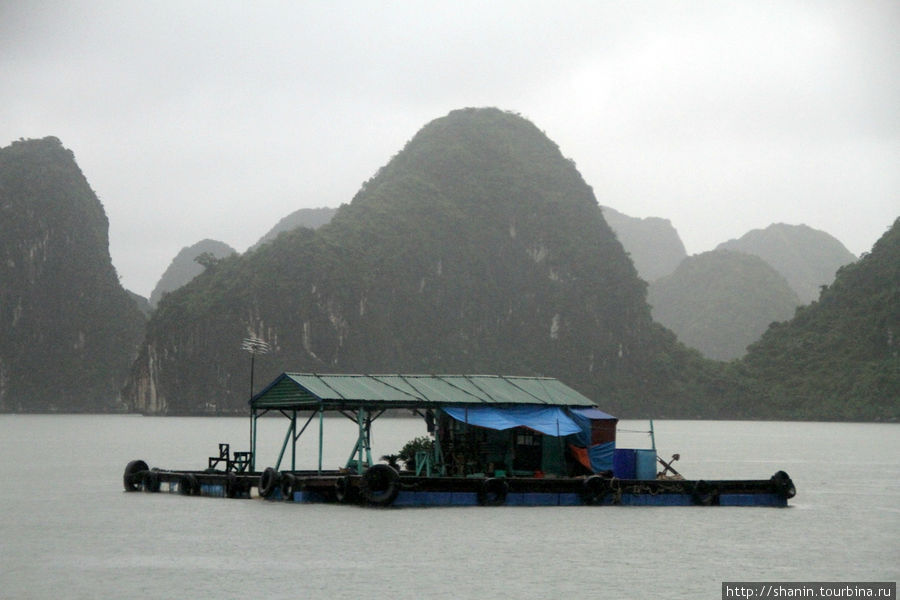 Бухта Халонг сквозь пелену дождя Халонг бухта, Вьетнам
