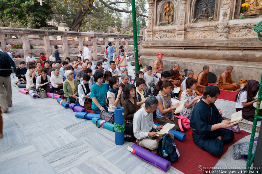 Паломники из разных стран совершают практики у Дерева Бодхи Бодх-Гая, Индия