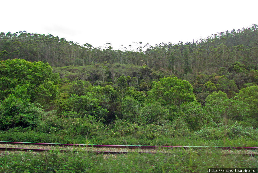 Ближе к центру острова, читай ближе к столице появилась железная дорога Провинция Туамасина, Мадагаскар