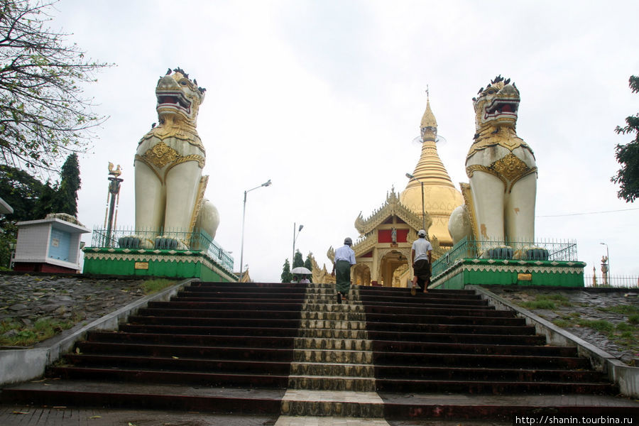 Пагода Маха Визая Янгон, Мьянма