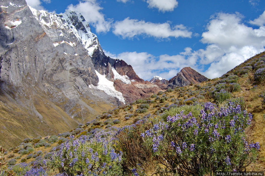Треккинг в Перу. Cordillera Huayhuash. Продолжение Перу