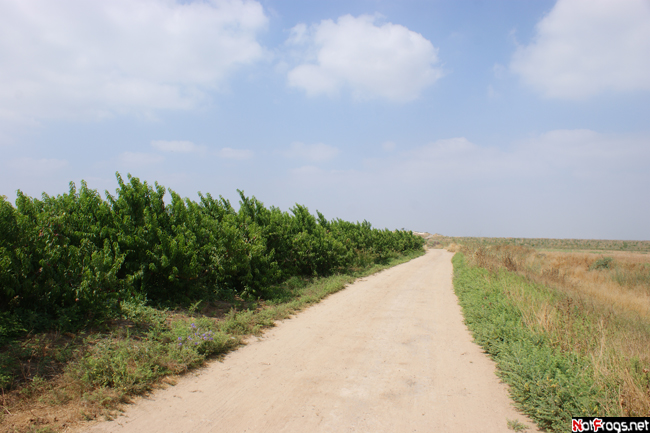 Дорога в рай Южный округ, Израиль