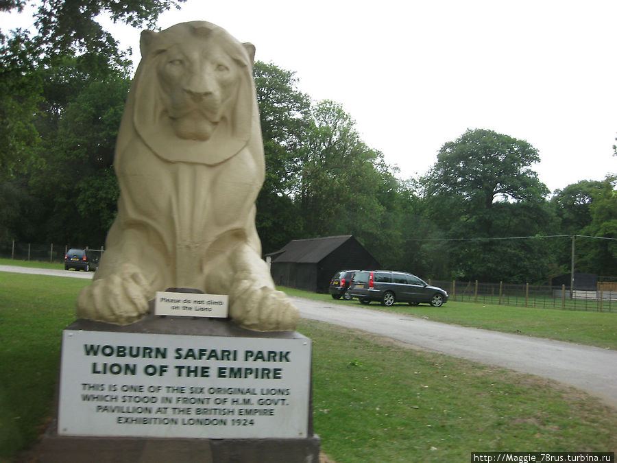 Вобэн сафари парк Бедфорд, Великобритания