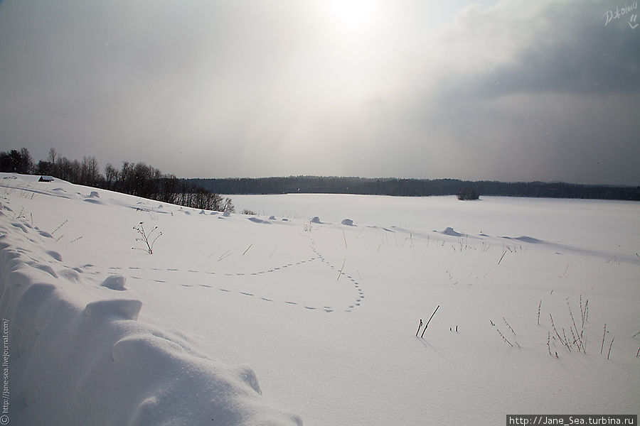 Озеро Масельгское Морщихинская, Россия