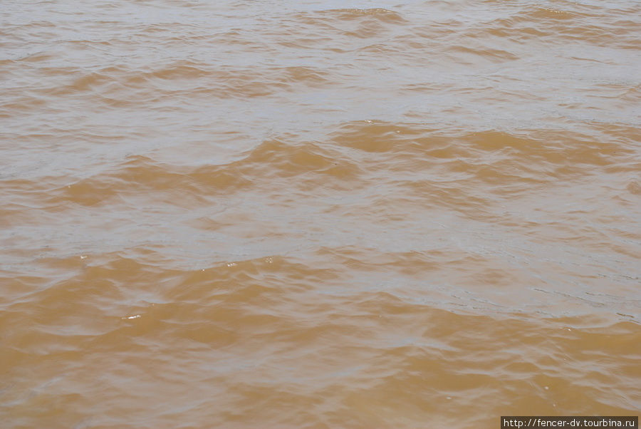 Вода ужасно мутная, но не грязная Тигре, Аргентина