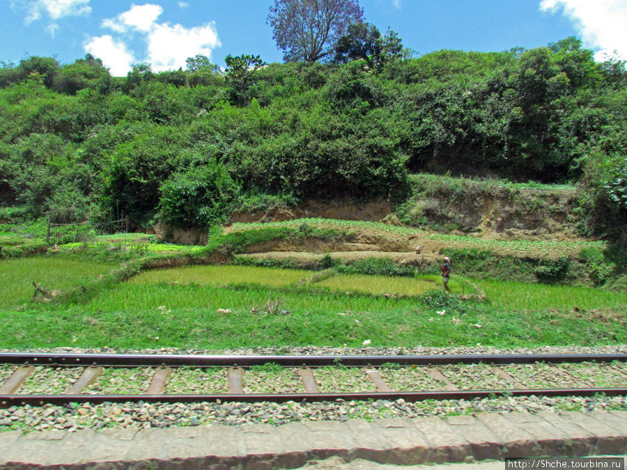 Все фото размещены в хронологической последовательности. Рисовые поля — неотъемливая часть. Подобное будет потом и в столице Антананариву