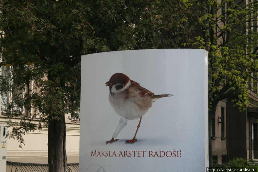 это реклама, на самом деле, но украшает... Рига, Латвия
