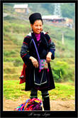 black hmong