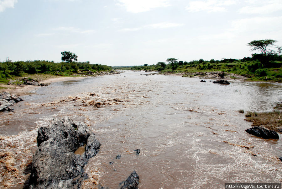 Река Мара Масаи-Мара Национальный Парк, Кения