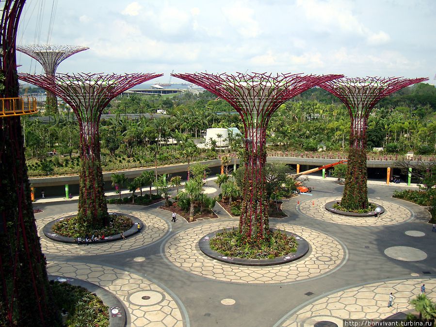 Чудо деревья в Сингапурском Саду Сингапур (город-государство)