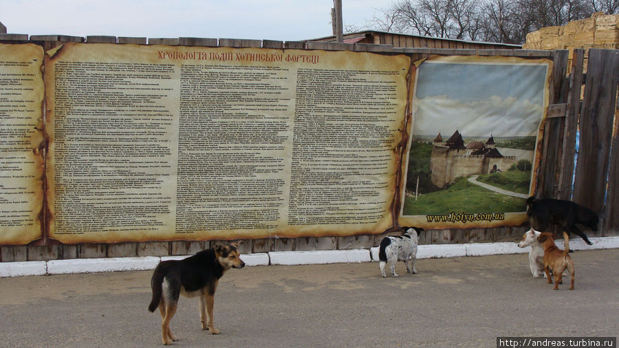 Собаки-туристы )) Хотин, Украина
