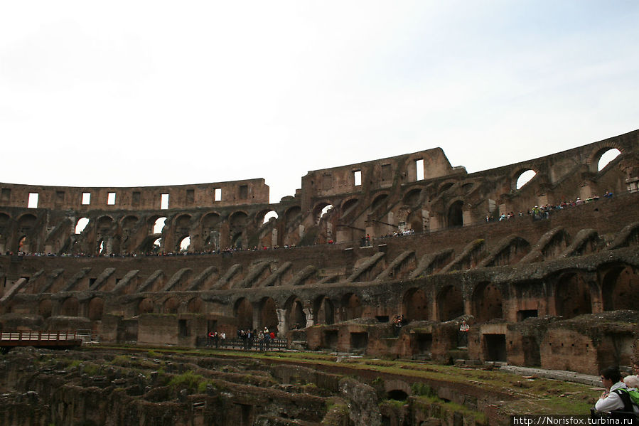 Колизей. Факты и ощущения Рим, Италия