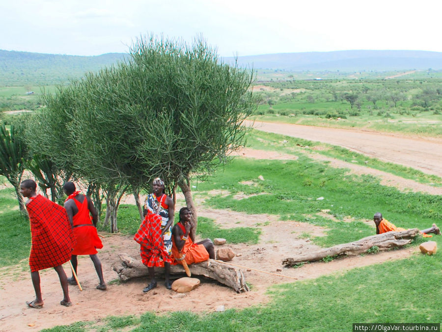 А нас уже ждут и встречают... Масаи-Мара Национальный Парк, Кения