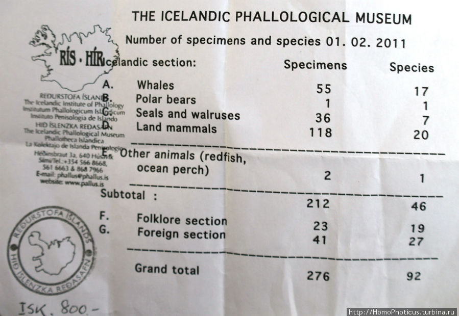 чек музея фаллологии Северо-восточная Исландия, Исландия