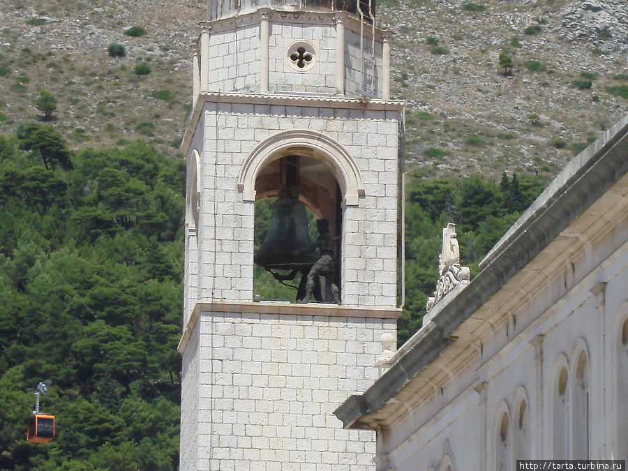 Дубровницкие зеленцы на городской колокольне Дубровник, Хорватия