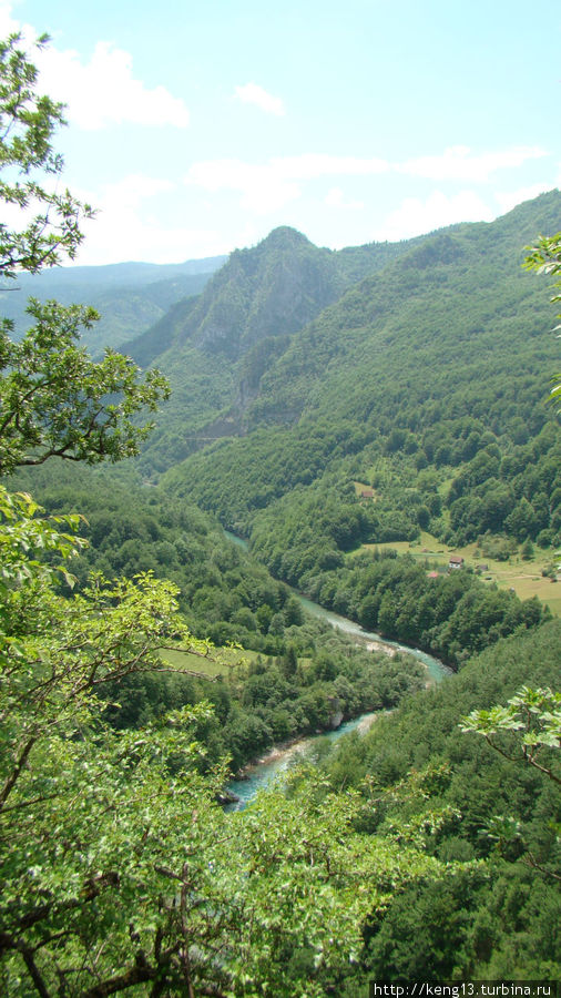 Ясные воды реки Тара Национальный парк Дурмитор, Черногория