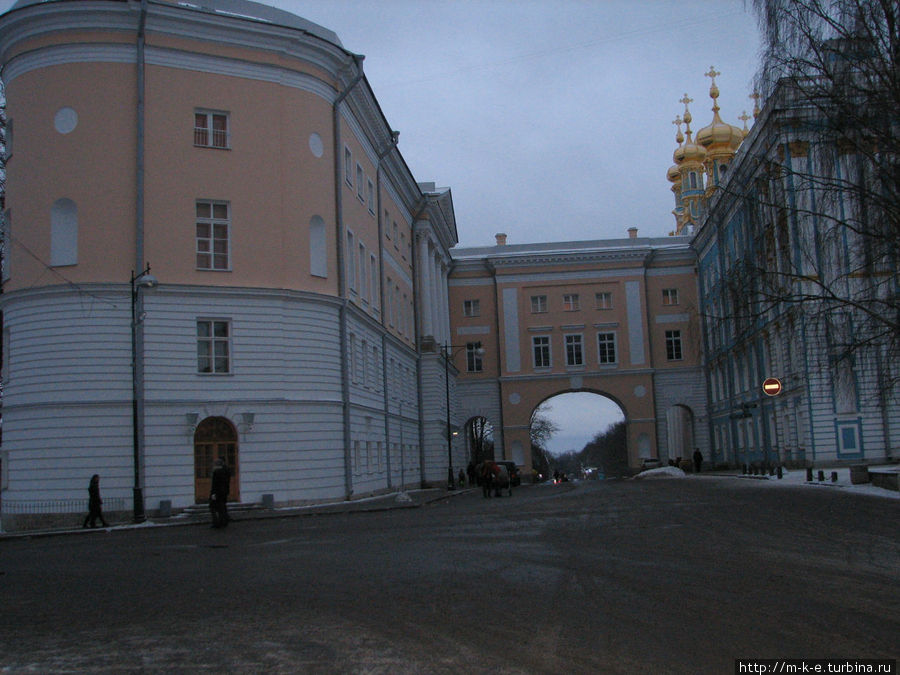 Царскосельский лицей Пушкин, Россия